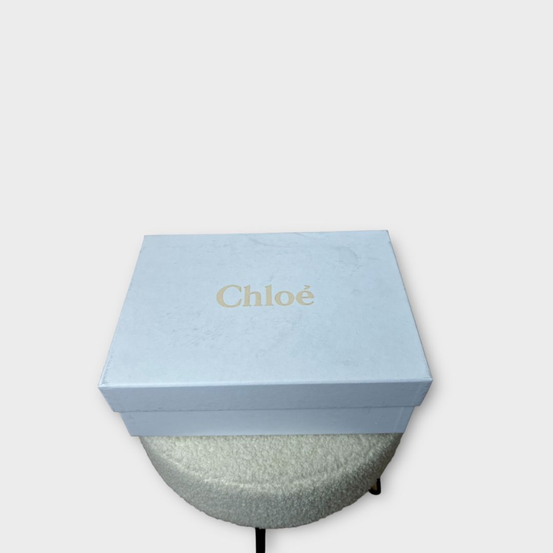 Chloé Canvas Woody Mules - 5/38